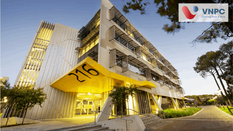 M.77King casino trực tuyến Curtin